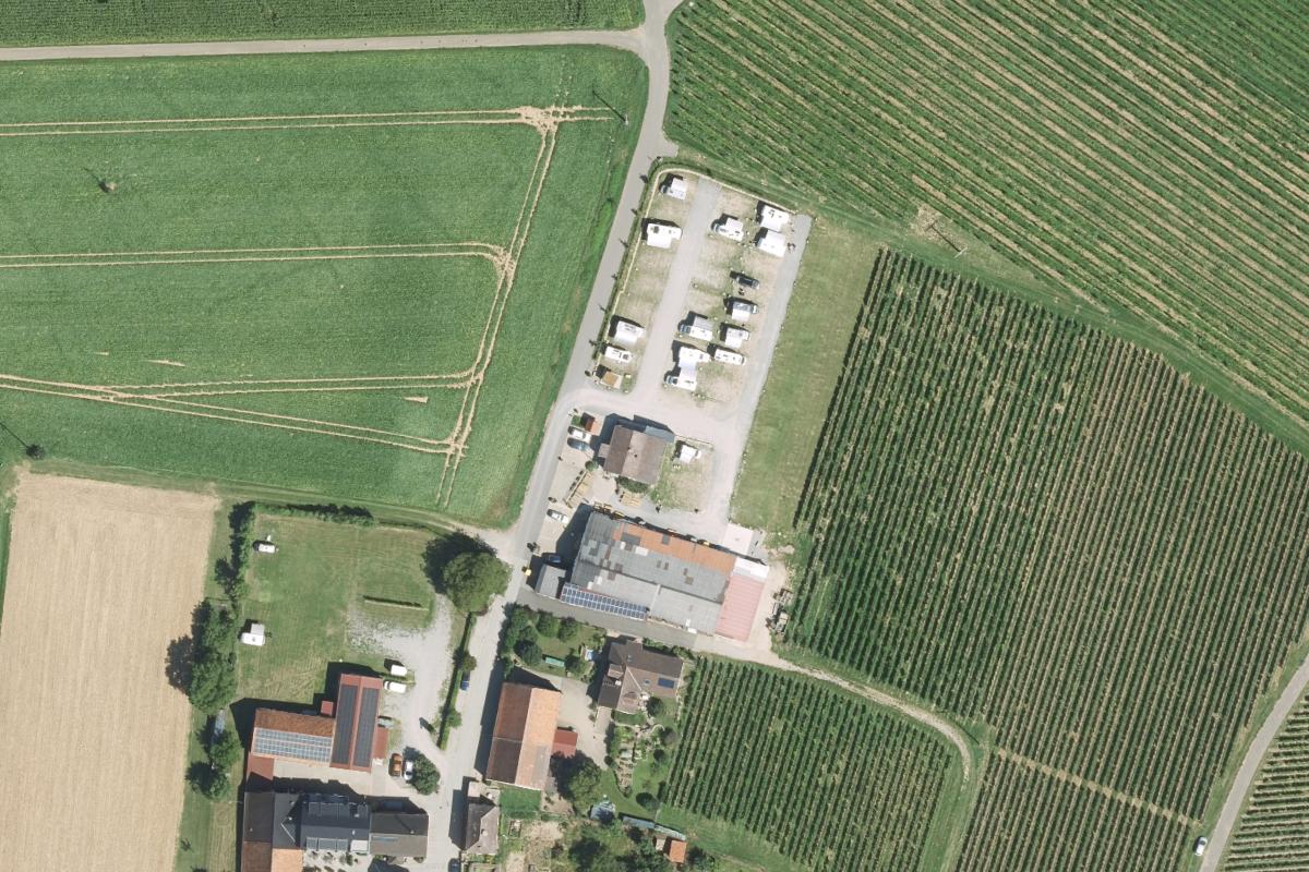 Weingut und Brennerei Mangold Panoramastellplätze Wohnmobilstellplätze