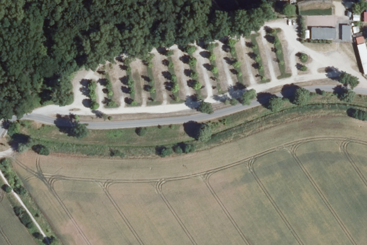 Campingplatz Am Löderburger See