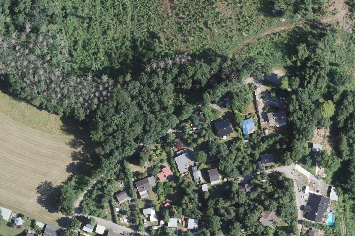 Stellplatz im Wald