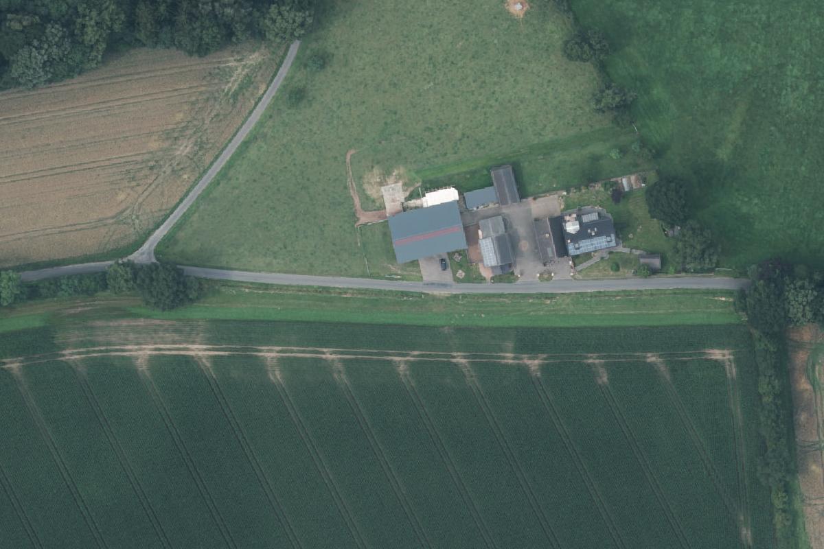 Wohnmobilstellplatz bei den Hochlandrindern Hof-Brambrink
