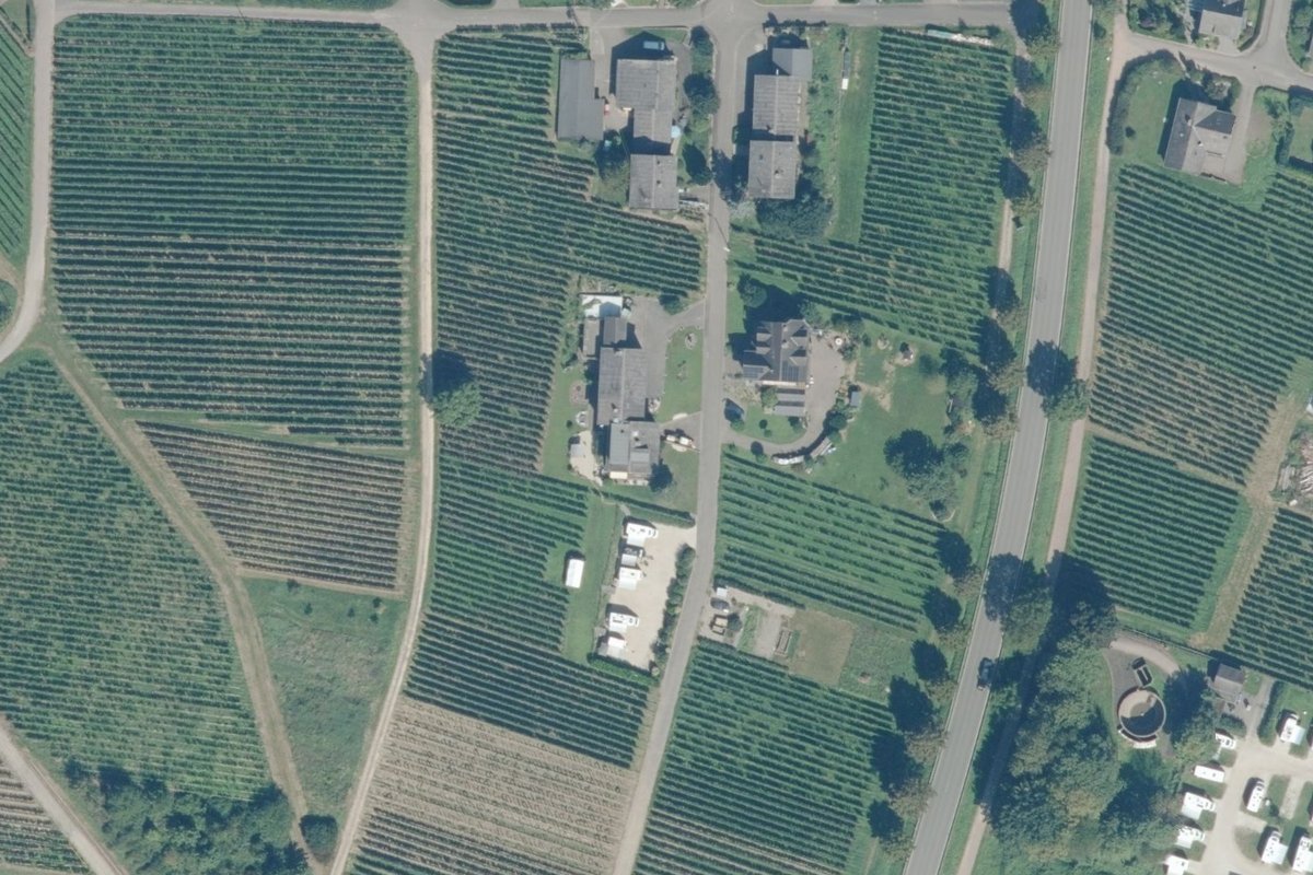 Stellplatz Loreleyblick
