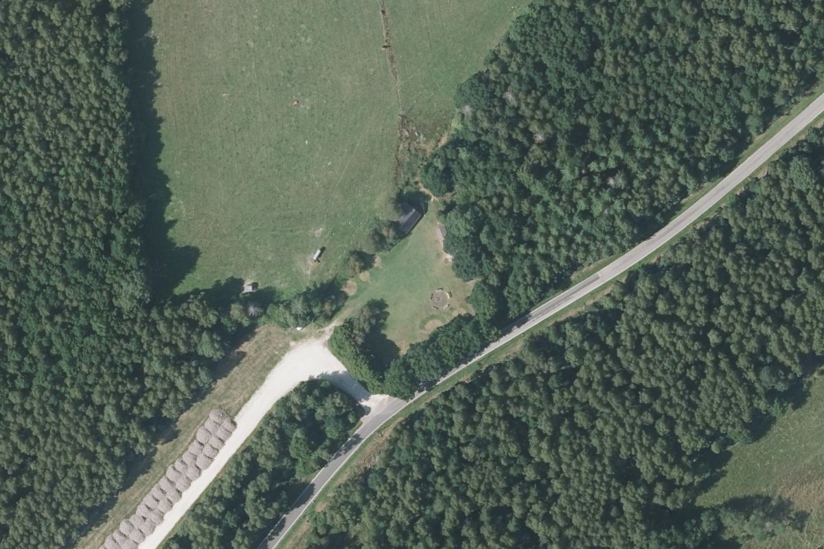 Salzlackwiese