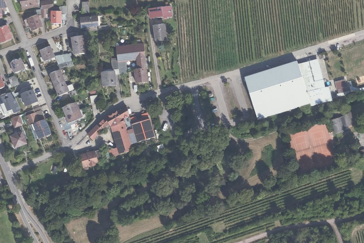Stellplatz Kirrweiler