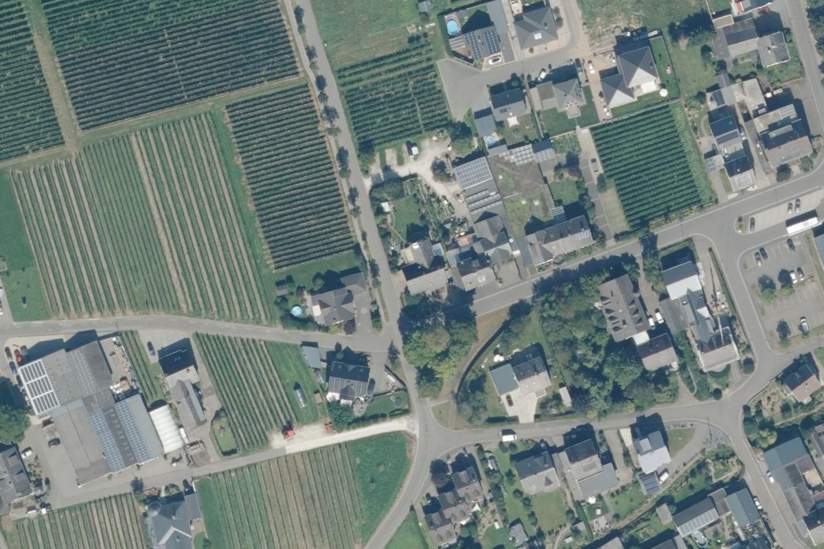 Stellplatz Weingut Spieles
