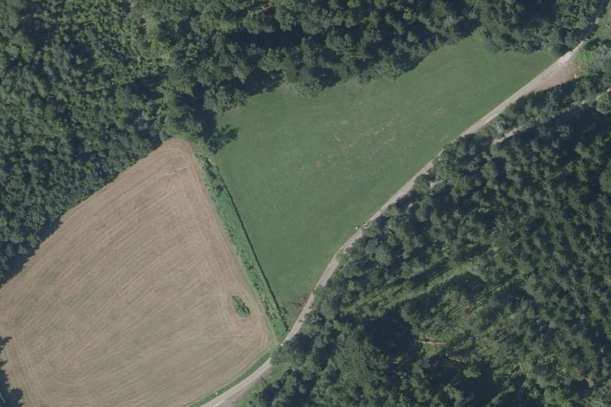 Stellplatz Bärenschütz