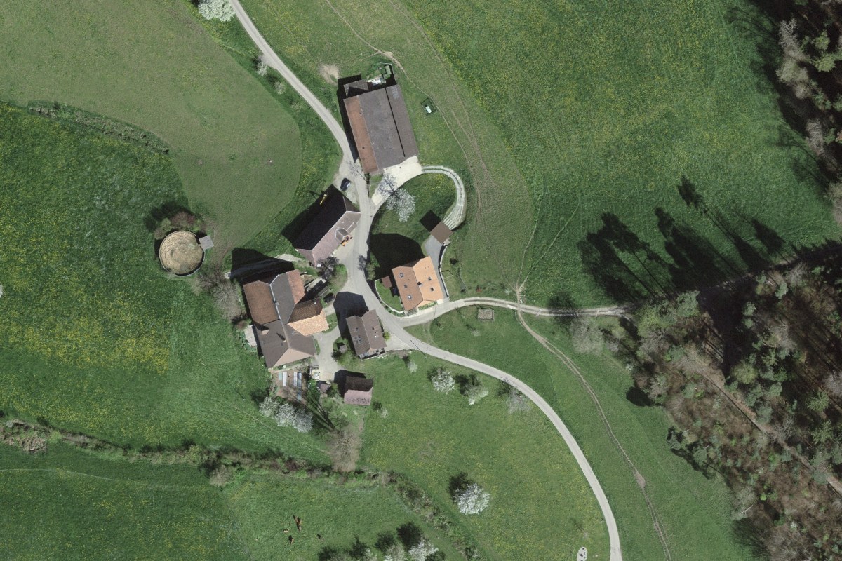 Nomady Camp Breitenwald