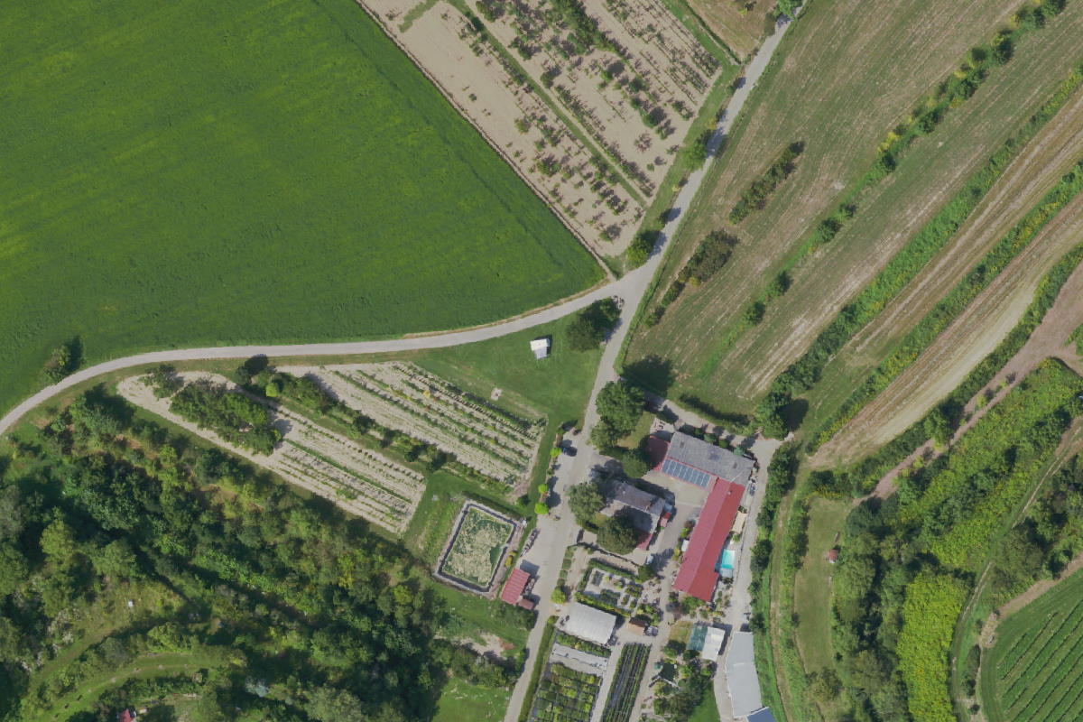 Wohnmobilstellplatz Herbolzheim - AlpacaCamping
