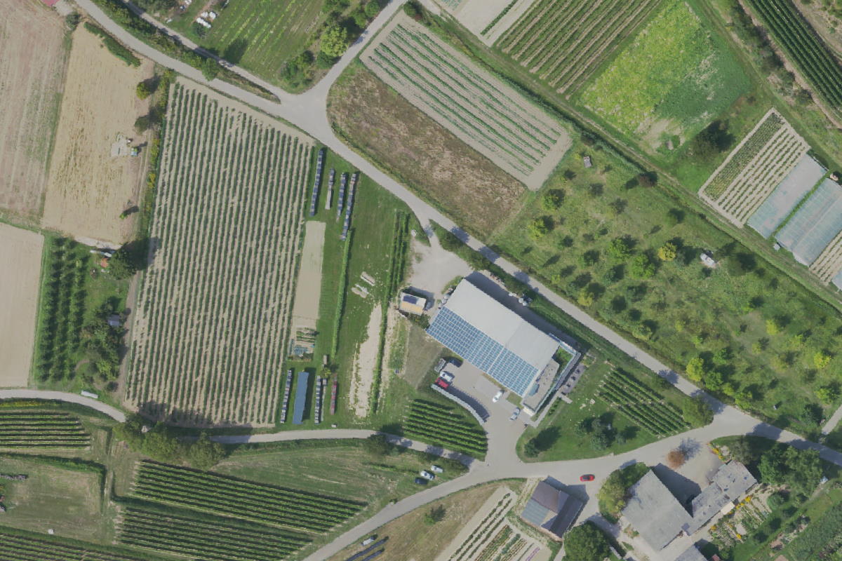 Wohnmobilstellplatz Eichstetten am Kaiserstuhl, Weingut Köbelin