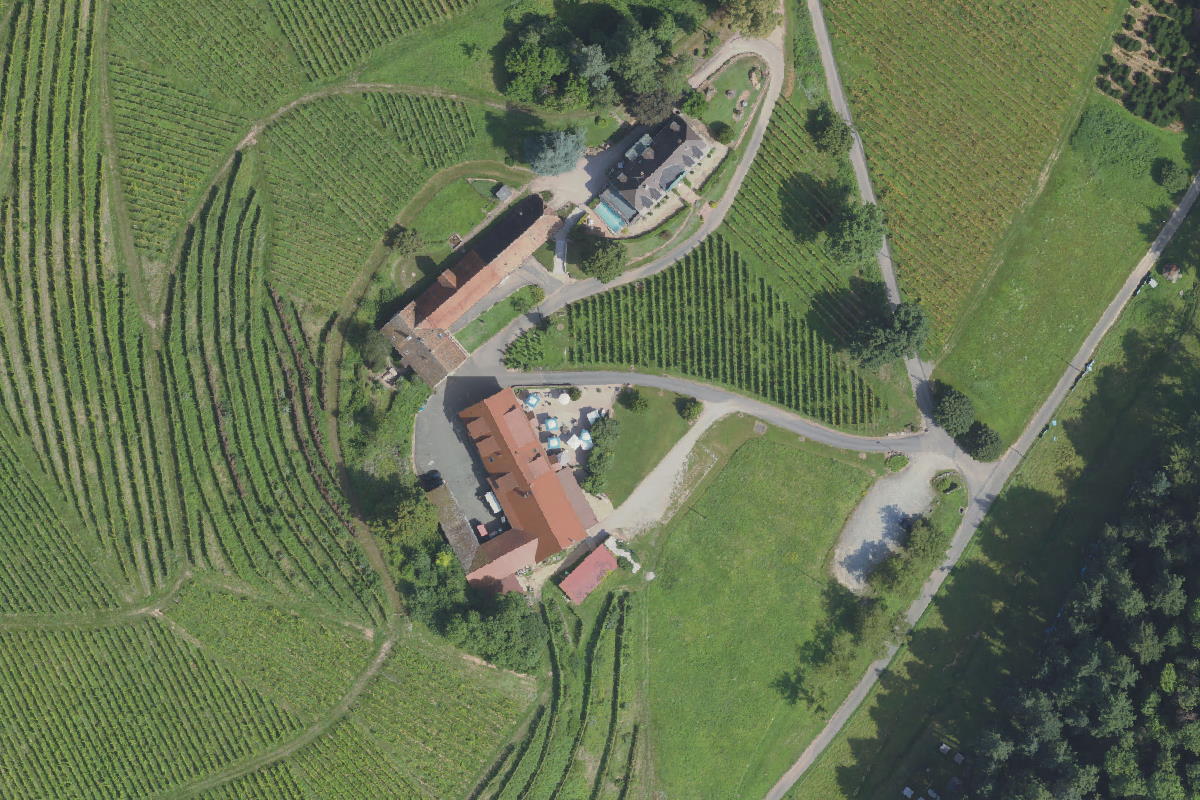 Womo Stellplatz Weingut von Neveu