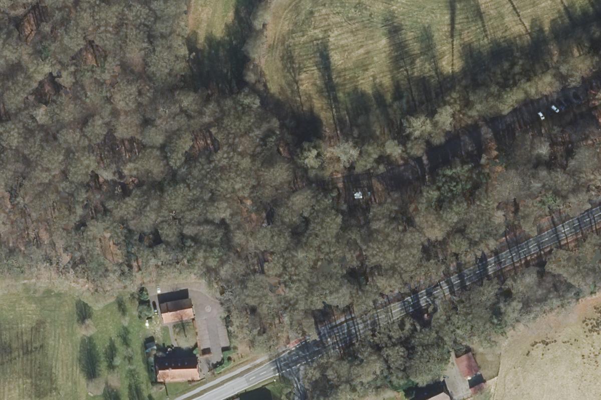 Wohnmobilstellplatz am Neuenburger Urwald