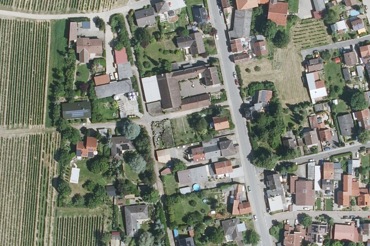 Wohnmobilstellplatz Flörsheim-Dalsheim, Weingut Schales